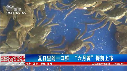 武進(jìn)新聞