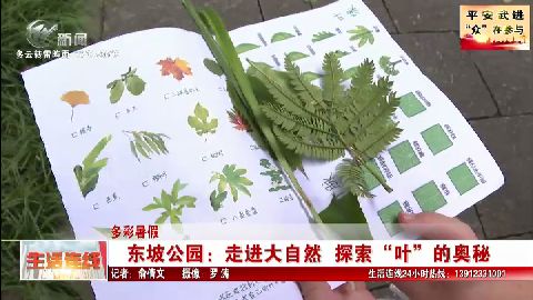 武進新聞