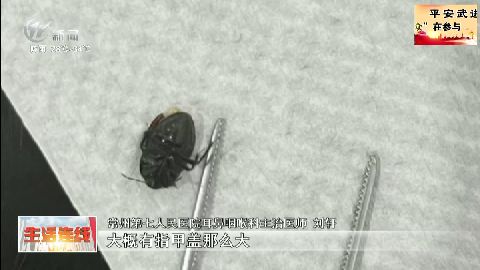 武進新聞